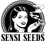 Sensi