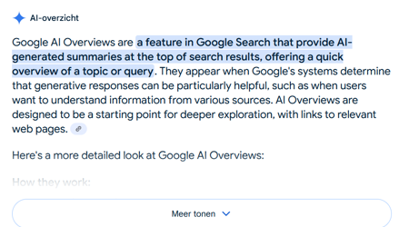 Google AI Overviews